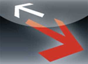 Fortinet Switches